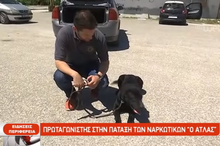Πρωταγωνιστής στην πάταξη των ναρκωτικών ο «Άτλας» (Video)
