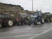 agrotes_serres.jpg