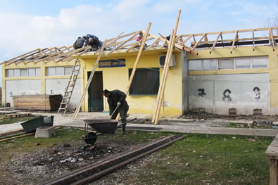 kinokokomeio_steiroseis_01