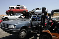 palia-auto