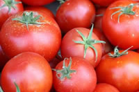 tomatoes